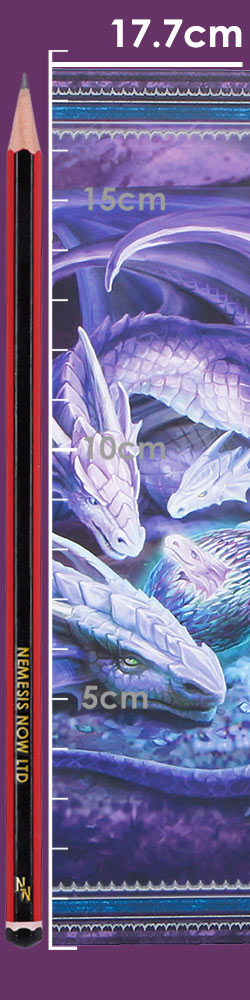 Anne Stokes Welcome Hatchling Journal
