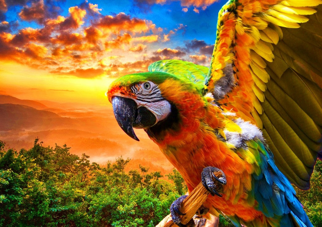 Parrot from Vanja Golos / Shutterstock, 1000 Piece Puzzle