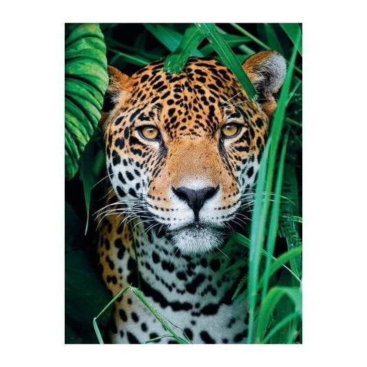 Jaguar in de jungle, Clementoni puzzel van 500 stukjes