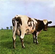 Pink Floyd - Atom Heart Mother, 500 Piece Puzzle
