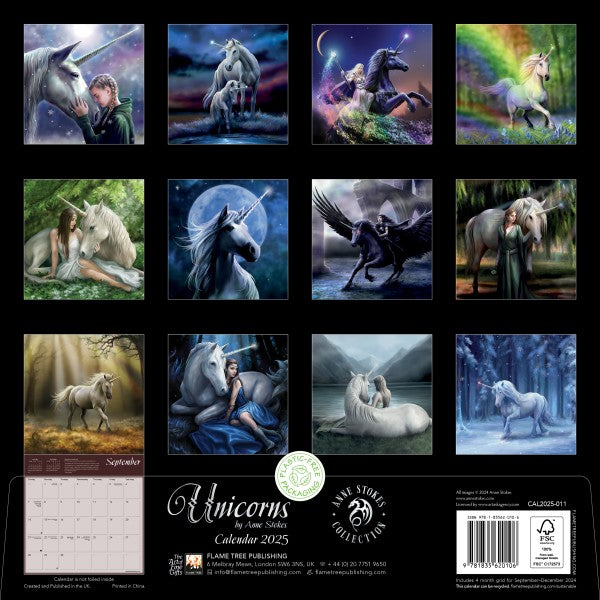 Unicorns by Anne Stokes Wall Calendar 2025 (Art Calendar)