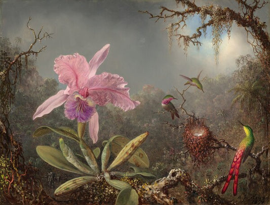 Cattleya Orchid and Three Hummingbirds af Martin Johnson Heade, 1000 brikkers puslespil