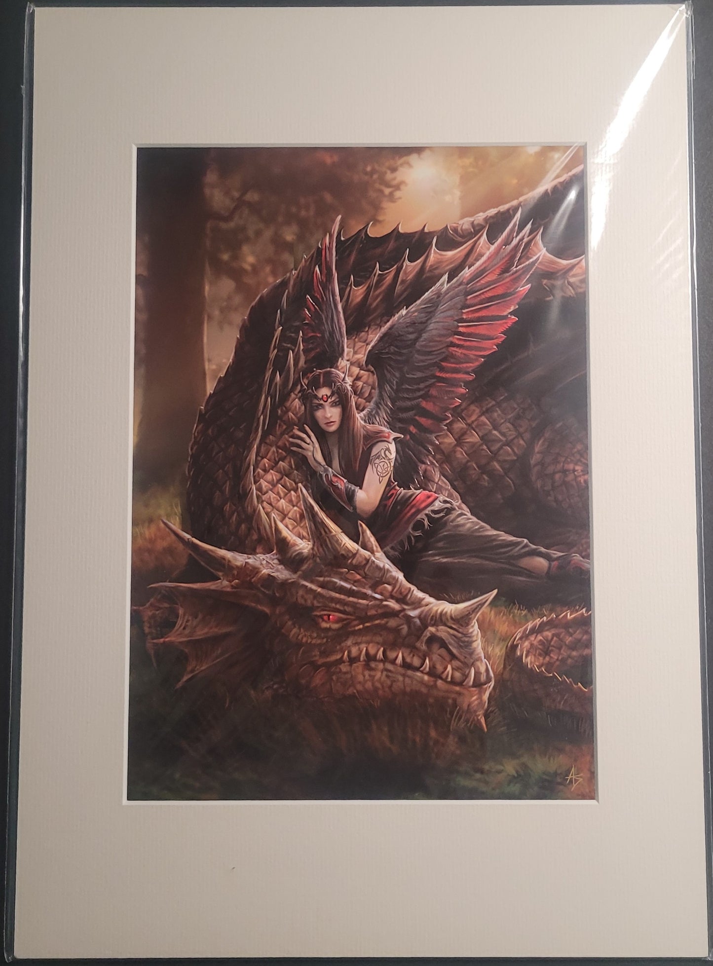 Winged Companions by Anne Stokes, Mounted Prints