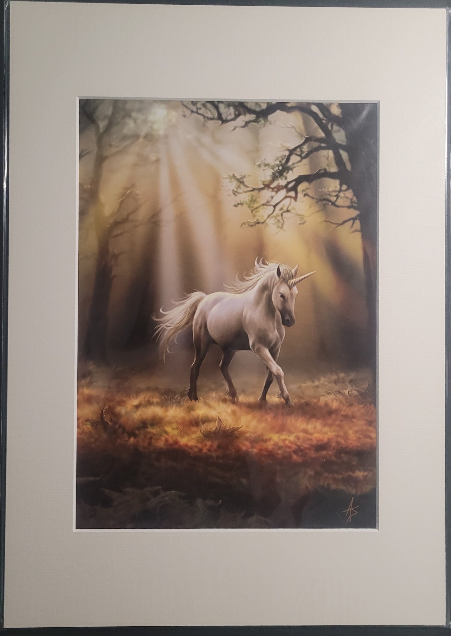 Glimpse of a Unicorn by Anne Stokes, Mounted Print