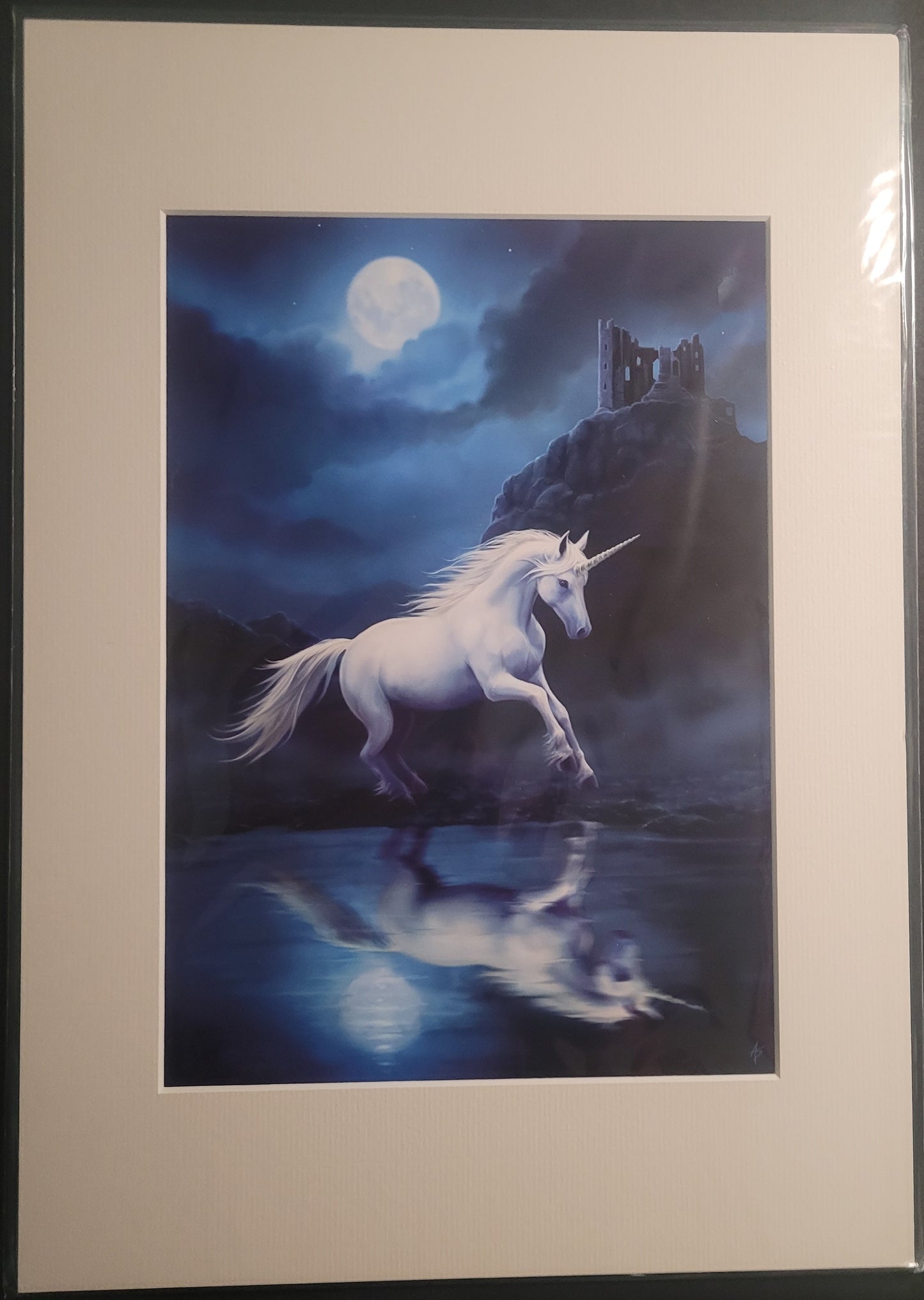 Moonlight Unicorn by Anne Stokes, Mounted Print