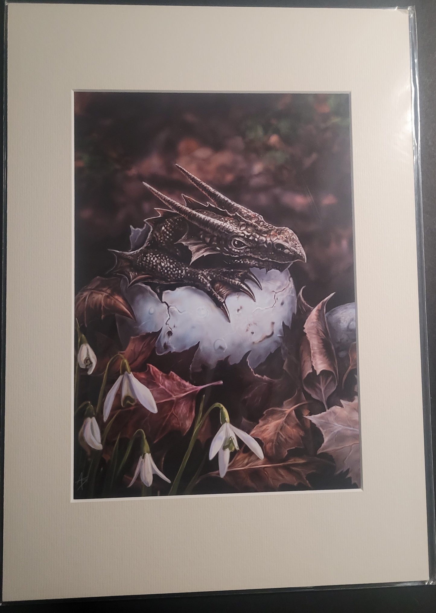 The Hatchling by Anne Stokes, Mounted Print