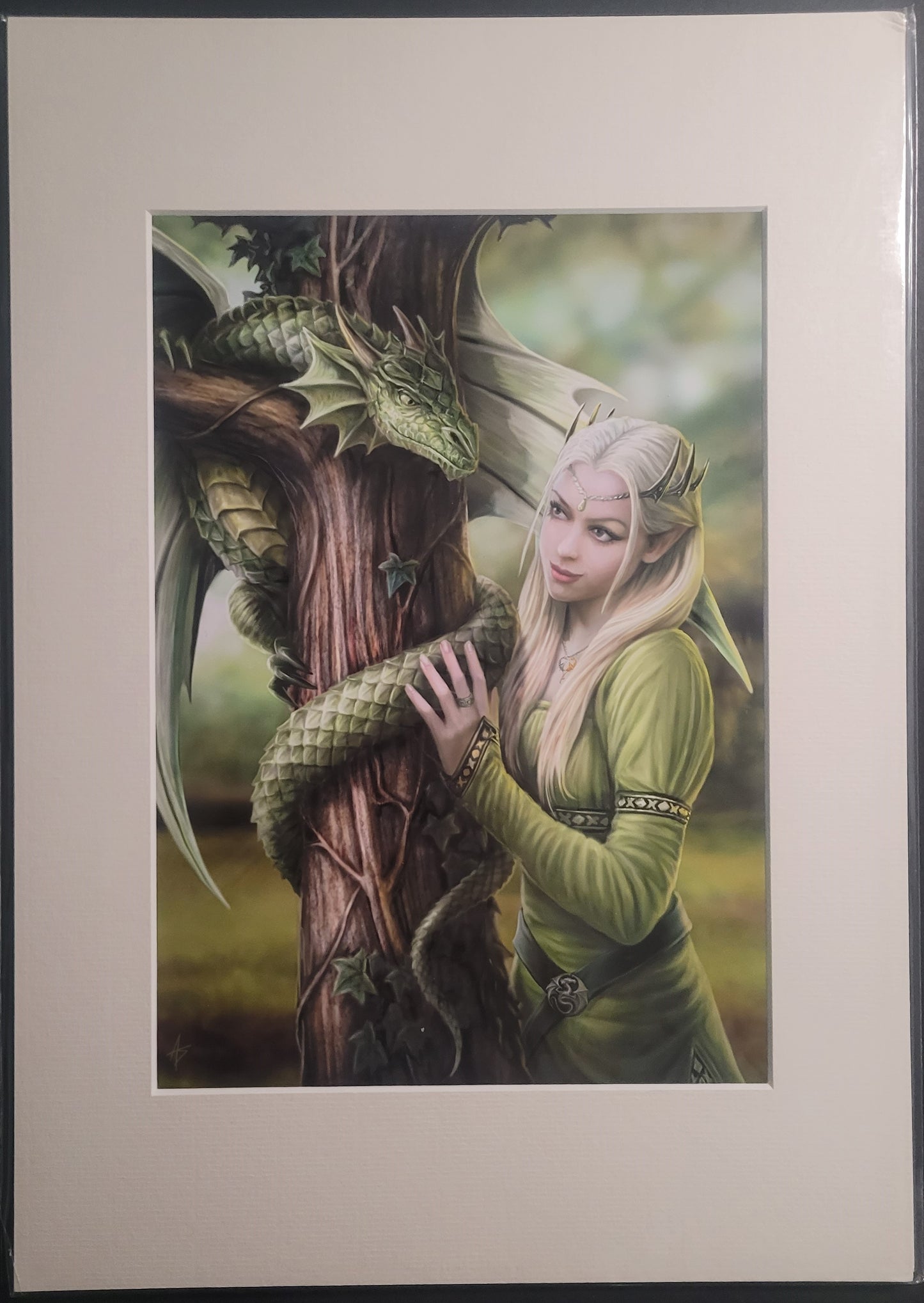 Kindred Spirits by Anne Stokes, Mounted Print
