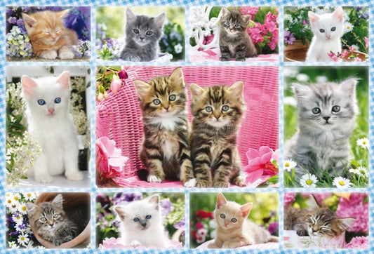 Kittens van Greg Cuddiford, puzzel van 100 stukjes