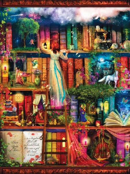 Treasure Hunt Bookshelf by Aimee Stewart, 1000 Piece Puzzle