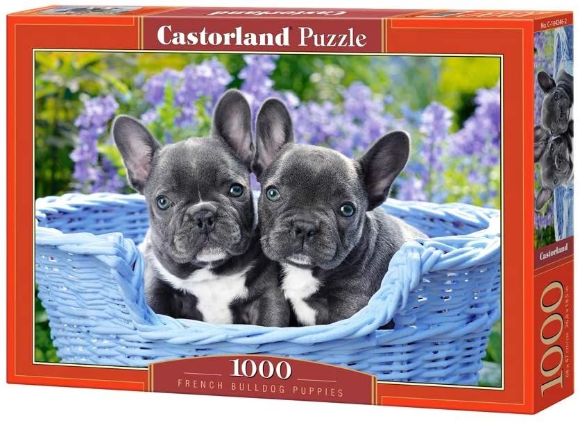 Franse Bulldog-puppy's van Greg Cuddiford, puzzel van 1000 stukjes