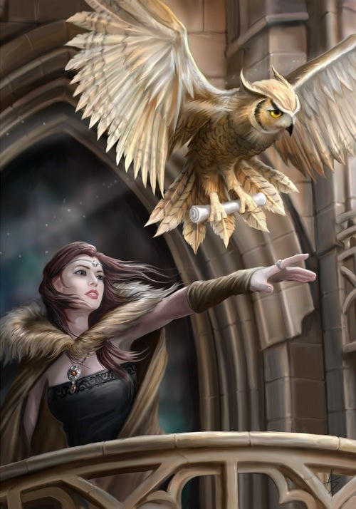 Owl Messenger by Anne Stokes, Greeting Cards