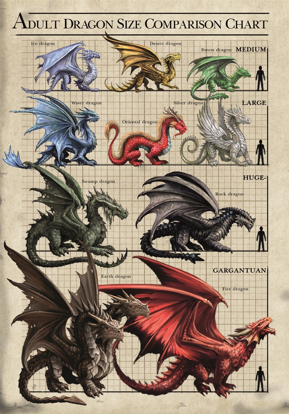 Dragon Size Comparison Chart af Anne Stokes, lykønskningskort