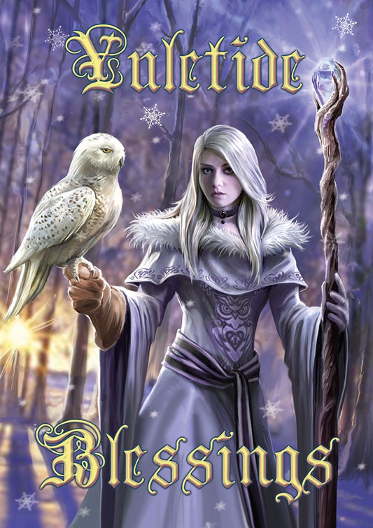 Winter Owl by Anne Stokes, Greeting Card