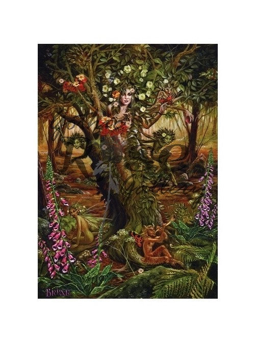 Dryad by Briar, Mounted Print