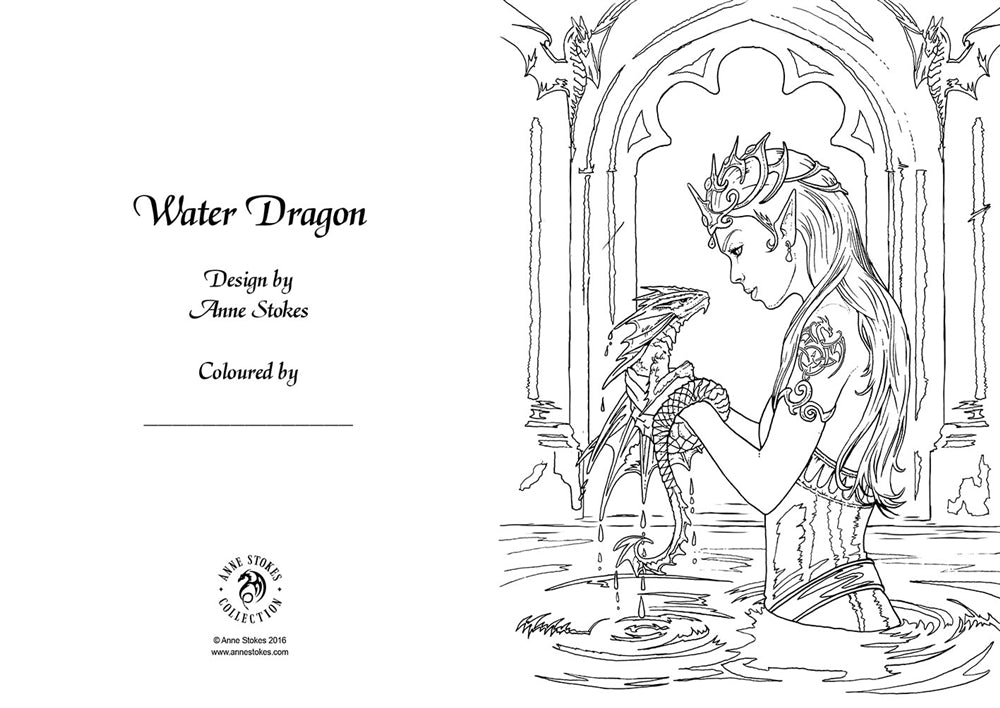 Dragon Friendship af Anne Stokes Farve i kort lykønskningskort sæt i 4 dele