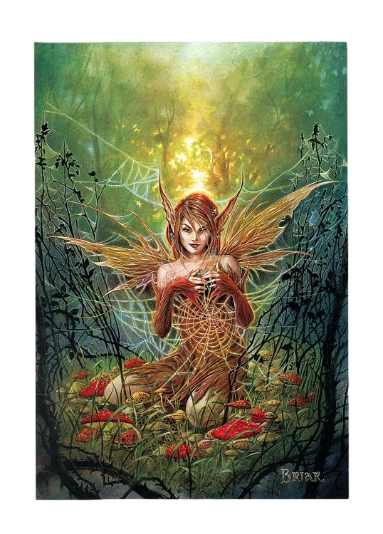The Cobweb Fairy by Briar, Print