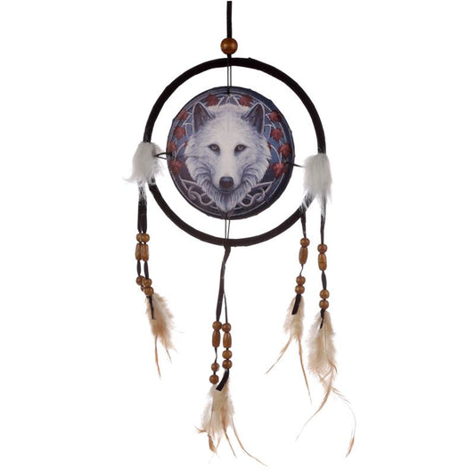 Guardian of the Fall by Lisa Parker, Dream Catcher