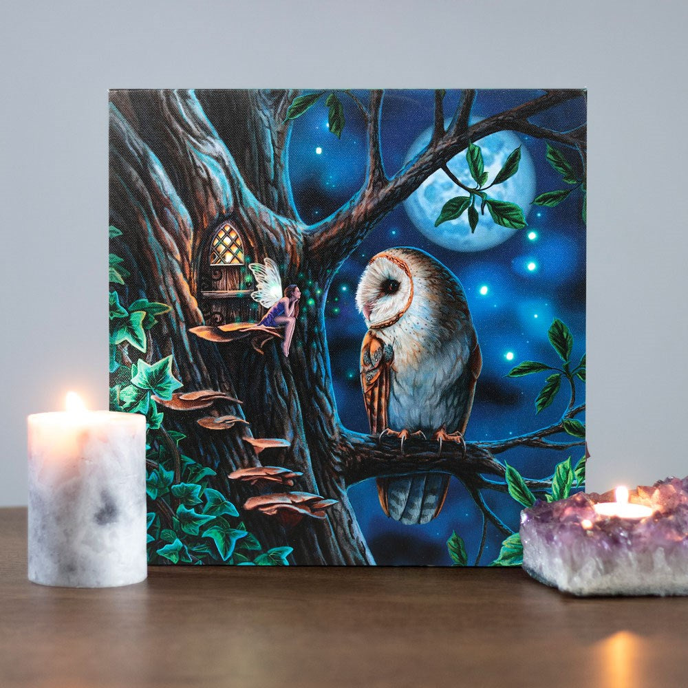 Fairy Tales by Lisa Parker, Light Up Canvas