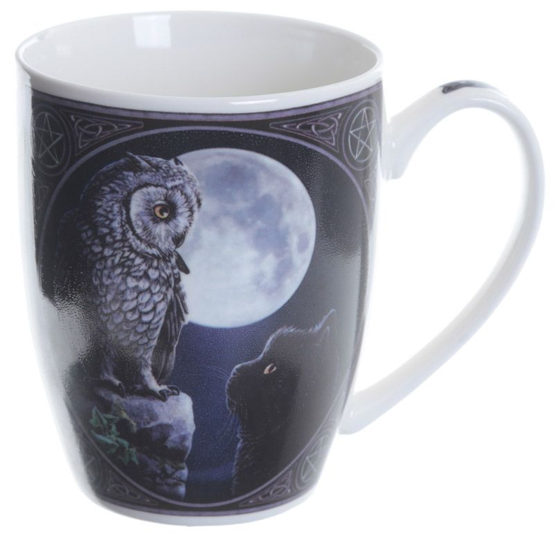 Lisa Parker Purrfect Wisdom Owl and Cat Porcelain Mug