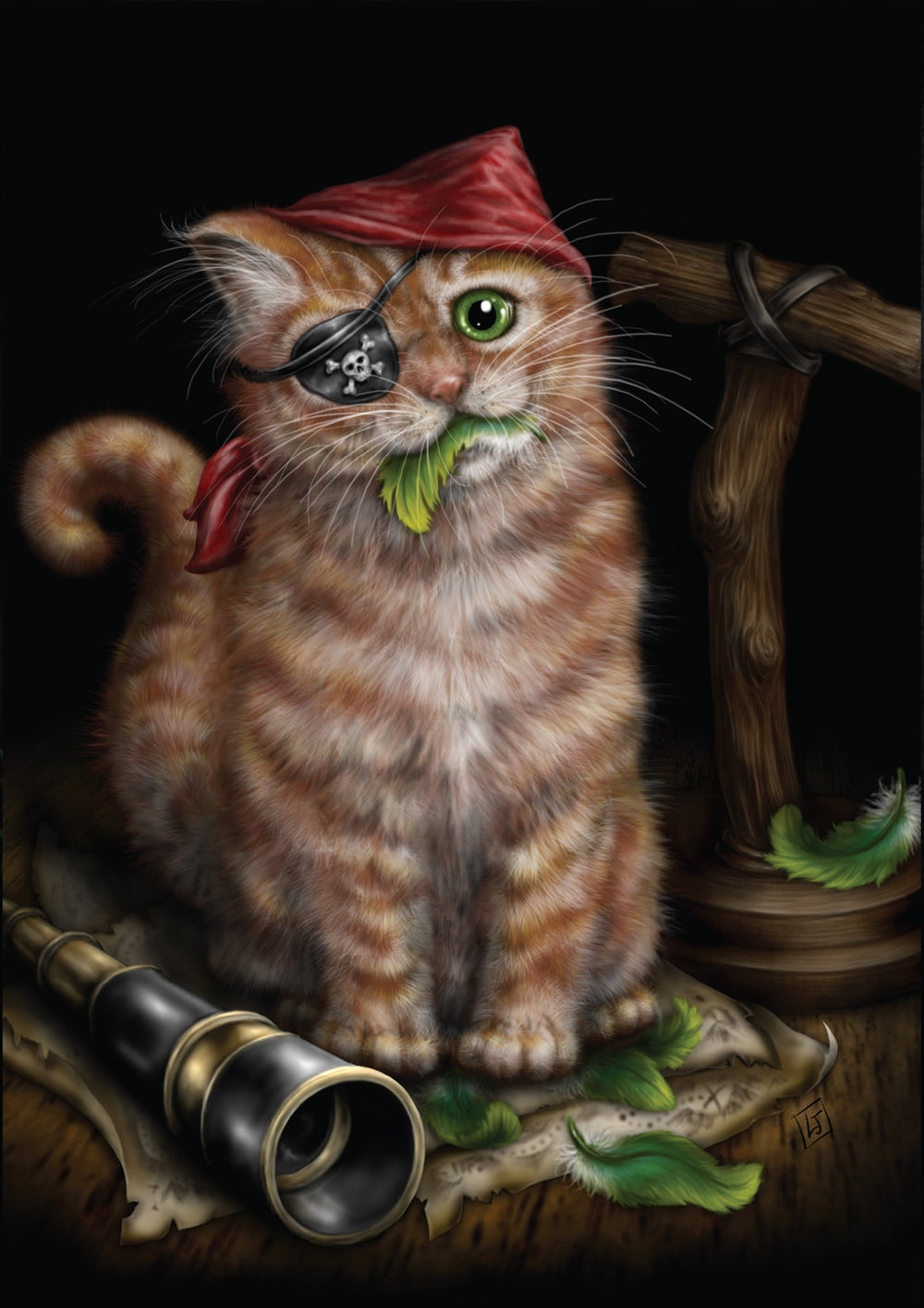 Pirate Kitten door Sheblackdragon (Linda M Jones), wenskaart
