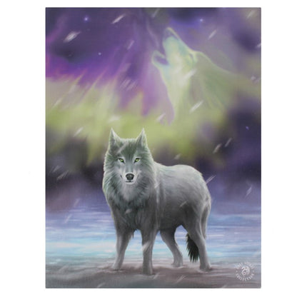 Aurora by Anne Stokes, Canvas Print