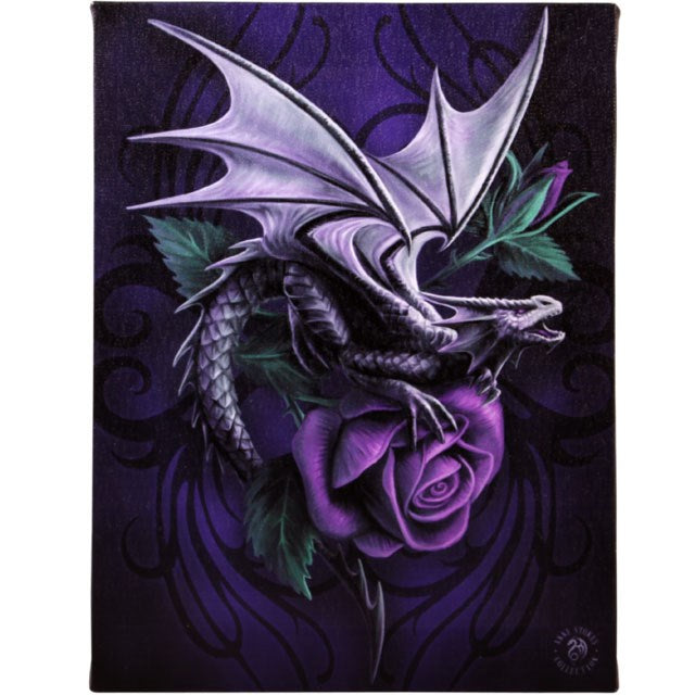 Dragon Beauty by Anne Stokes, Canvas Print