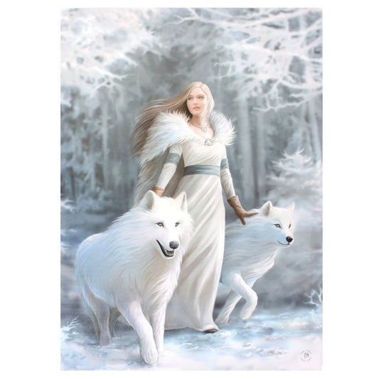 Winter Guardians by Anne Stokes, Canvas Print