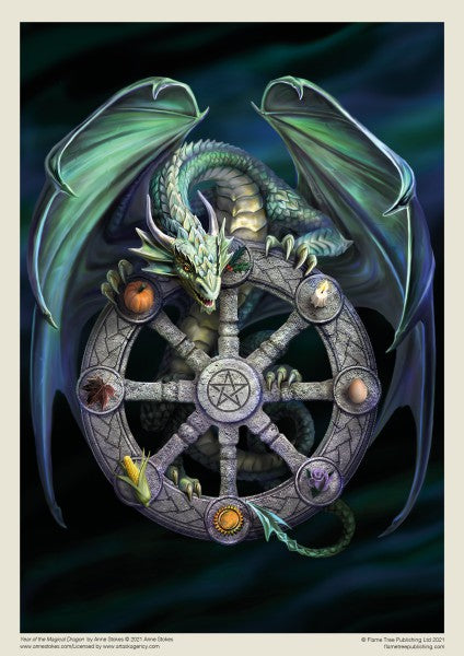 Year of the Magical Dragon af Anne Stokes, 1000 brikker puslespil