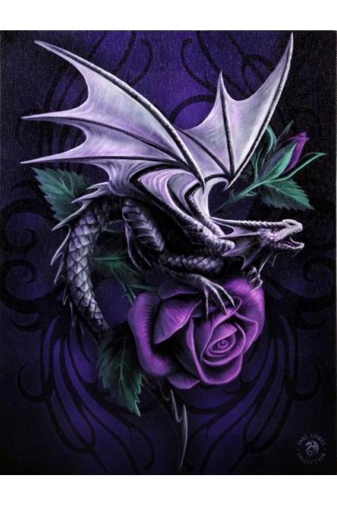 Dragon Beauty van Anne Stokes, Stokwierook