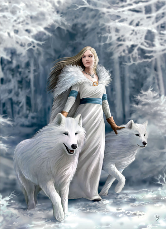 Winter Guardians door Anne Stokes, puzzel van 1000 stukjes