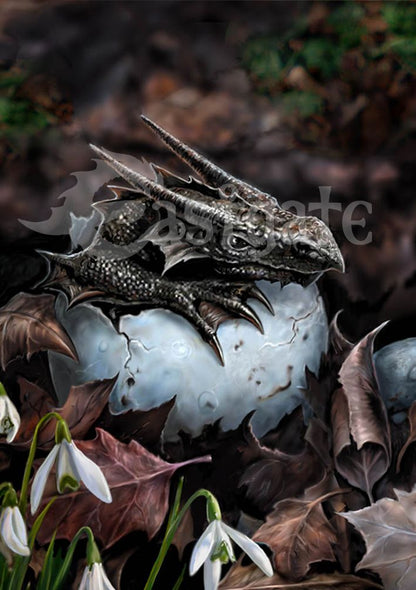 Anne Stokes Spiny Woodland Hopper/Hatchling Notecards