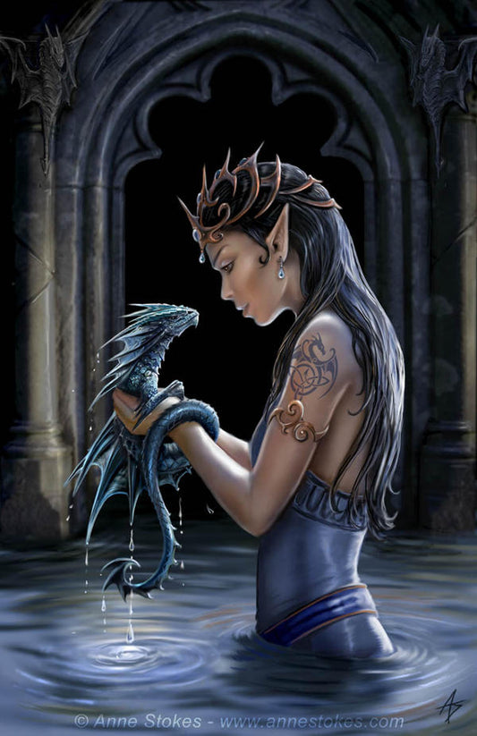 Water Dragon af Anne Stokes, Mounted Print