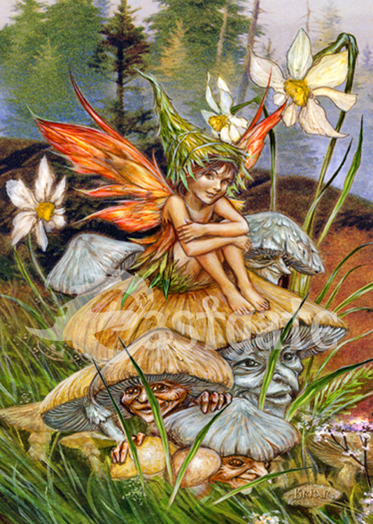 Mushroom Fairy van Briar, gemonteerde print