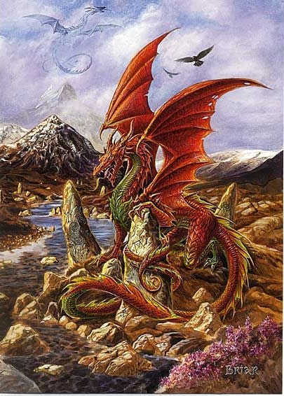 Fire Dragon af Briar, tryk