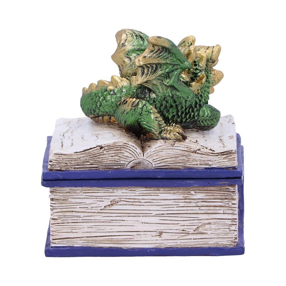 Groene Bedtime Stories Dragon-boekendoos 