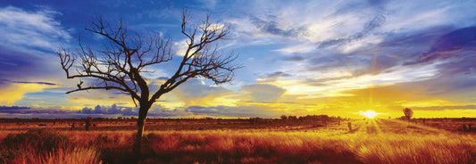 Desert Oak bij zonsondergang - Northern Territory, Australië door Mark Grey, puzzel van 1000 stukjes