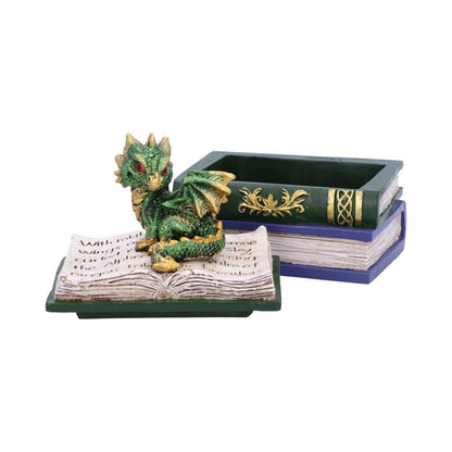 Green Dragonling Diaries Dragon Book Box