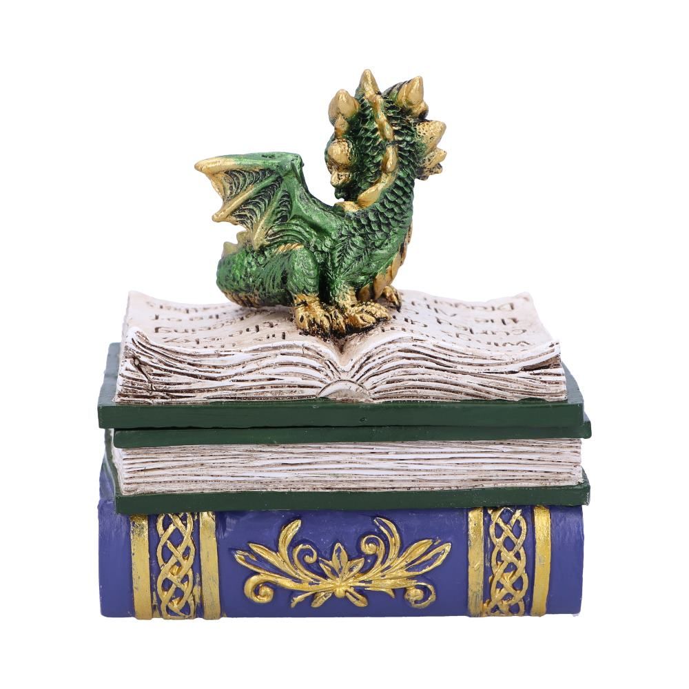 Green Dragonling Diaries Dragon Book Box