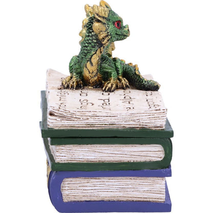 Green Dragonling Diaries Dragon Book Box