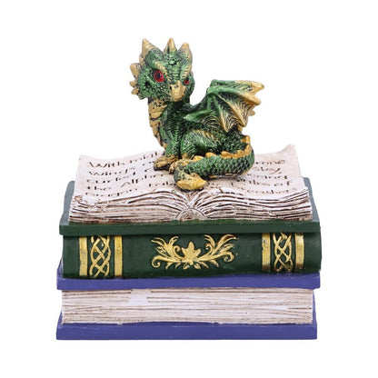 Green Dragonling Diaries Dragon Book Box