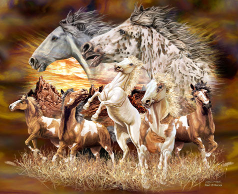 Vind 16 paarden van Steven Michael Gardner, puzzel van 1000 stukjes