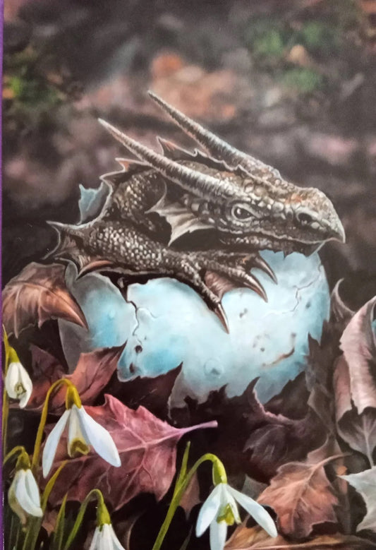 The Hatchling af Anne Stokes, Mounted Print