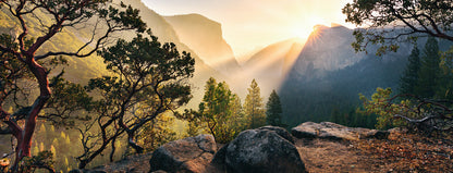 Yosemite Park by Stefan Hefele, 1000 Piece Puzzle