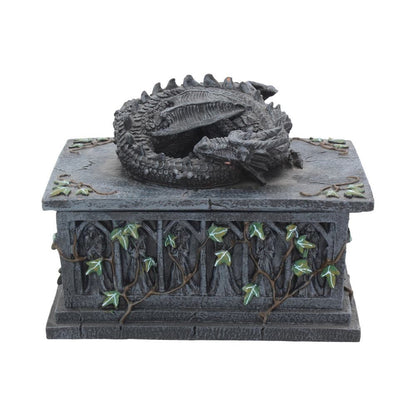 Dragon Ivy Tarot Card Holder Box