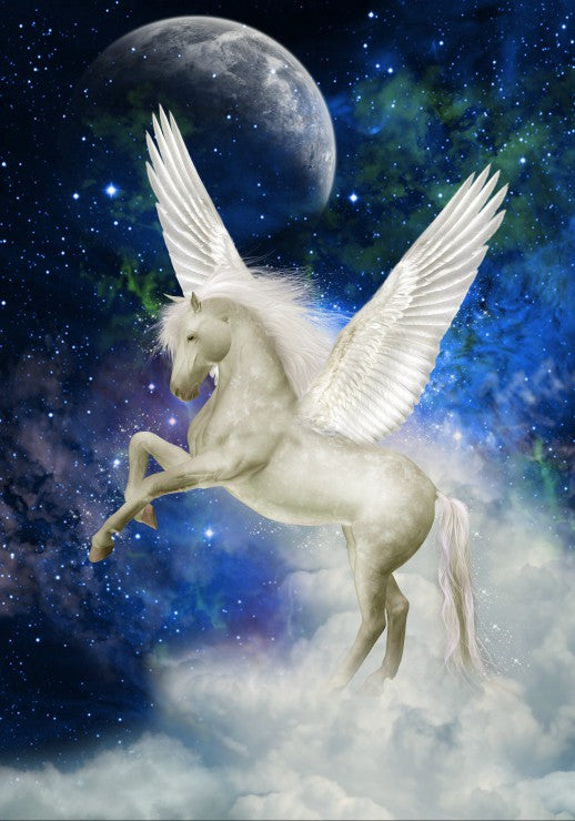 Pegasus van Justdd, puzzel van 1000 stukjes