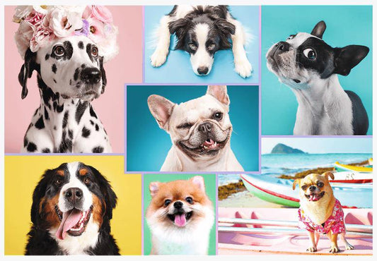 Cute Dogs af Trefl, 1500 brikker puslespil