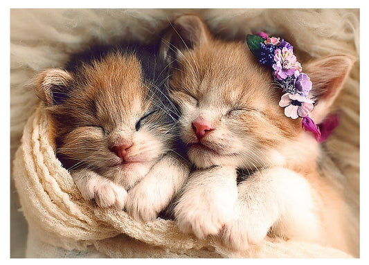 Slapende kittens van Jessica Pugliese, puzzel van 500 stukjes
