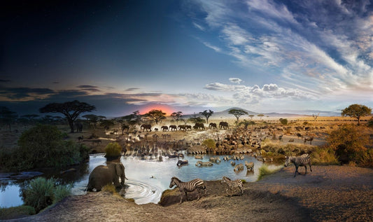 Dag naar nacht - Serengeti National Park, Tanzania door Stephen Wilkes, puzzel van 1000 stukjes