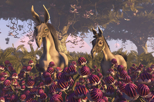 Long Nose Donkeys af Susann Houndsville, 1000 brikker puslespil