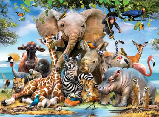Afrika Smile door Howard Robinson, puzzel van 1000 stukjes